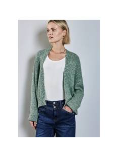 STREET ONE tricot gilet  STREET ONE  tricot pull's en gilets licht groen/multi