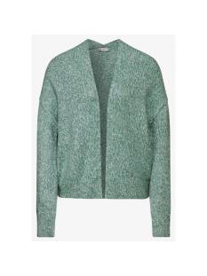 STREET ONE  tricot pull's en gilets licht groen/multi -  model a253914 - Dameskleding tricot pull's en gilets groen