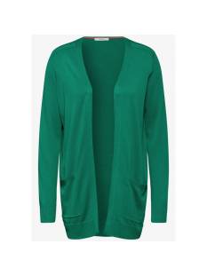 CECIL  tricot pull's en gilets groen -  model b253785 - Dameskleding tricot pull's en gilets groen