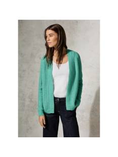 CECIL  tricot pull's en gilets licht groen/color