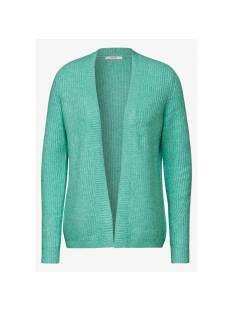 CECIL  tricot pull's en gilets licht groen/color -  model b253892 - Dameskleding tricot pull's en gilets groen