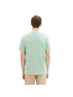 TOM TAILOR  t shirts licht groen -  model 1037735 - Herenkleding t shirts groen
