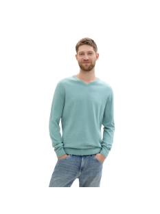 TOM TAILOR tricot pull heren TOM TAILOR  tricot pull's en gilets mintgroen/color